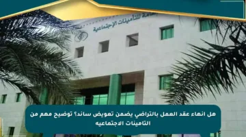 هل إنهاء عقد العمل بالتراضي يضمن تعويض ساند؟ توضيح مهم من التأمينات الاجتماعية